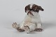 Lille 
pekingeser 
hundehvalp nr. 
1134
Højde 7,5 cm
1. sortering - 
fin fejlfri 
stand