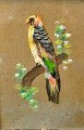 Fugle billeder. 
Kina, 19. årh. 
En kombination 
af fuglefjer og 
pastel. 17 x 
11,5 cm. 
Pris pr. ...