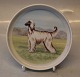 Hundeskåle i 
farver fra Tove 
Svendsen ca 15 
cm
; Cairn 
Terrier?, 
Yorkshire 
Terrier?,  ...