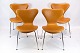 Et sæt af 4 
Syver stole, 
model 3107, 
designet af 
Arne Jacobsen 
og fremstillet 
hos Fritz 
Hansen. ...
