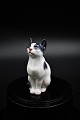 Lille porcelæns 
kat fra Dahl 
Jensen.
Dekorations 
nummer: DJ 
1329. 1.sort. 
H:9,5cm.
Er i hel og 
...