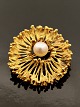 14 karat guld 
broche D. 3,3 
cm. med ægte 
perle design 
juveler Peter 
Hertz København 
emne nr. 465794