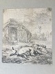 Karel du 
Gardijn 
(1626-78):
Sovende grise 
1652.
Kobberstik på 
papir monteret 
på papir.
Sign.: ...