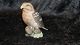 #Dahl Jensen 
porcelæns figur 
af fugl 
#Korsnæb. 
Dek nr #1356
Højde 10,5 cm
1 soretering
Pæn ...