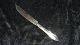 Ostekniv #Lad 
#Sølvplet
Længde 20,2 cm 
ca
Pæn og 
velholdt stand