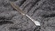 Frugtkniv 
#Antik Sølvplet
Længde 17,8 cm
Pæn og 
velholdt stand