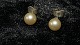 Elegante 
Øreringe med 
Perle i sølv
Stemplet 925
Måler 6,27 mm 
ca
Pæn og 
velholdt stand