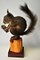 Udstoppet 
egern, Sciurus 
vulgaris, 20. 
årh. Danmark. 
Monteret på 
træplade og 
træstykke. 
Siddende ...