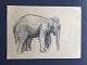 Tegning af 
Torkil Norél - 
Elefant.