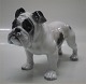 Rosenthal 
English Bulldog 
10,5 x 17 cm I 
fin og hel 
stand Tysk 
porcelænshund i 
god kvalitet Ca 
...