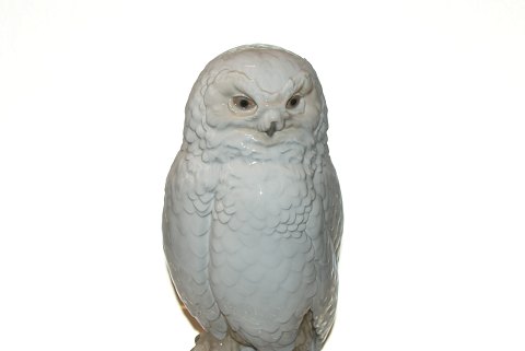 item no: 104976