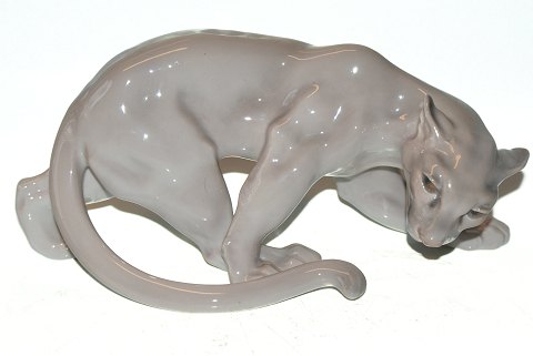item no: 104995