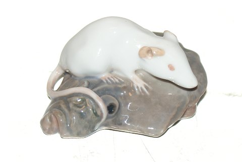 item no: 114084