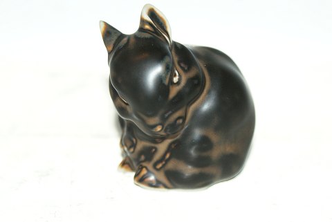 item no: 161421