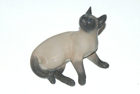 Royal Copenhagen Siamese Cat
Dec. Number 2862