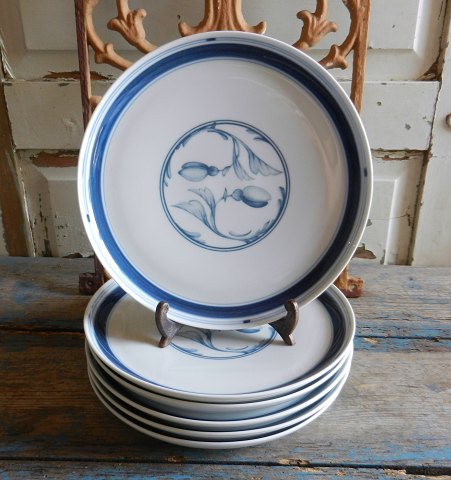 item no: 211961