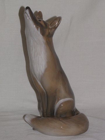 item no: 229571