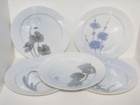 Royal Copenhagen Art Nouveau
Luncheon plates from 1898-1923