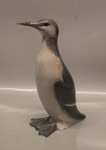 Kongelig Dansk 468 Kgl. Fugl Guillemot Chr. Thomsen 1899 27 cm
