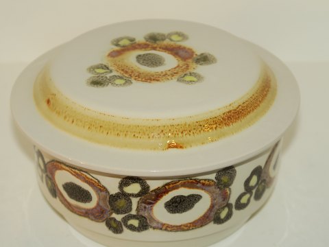 Nucella
Lidded bowl