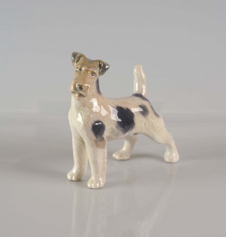 RC figur hund
2967
ruhåret foxterrier