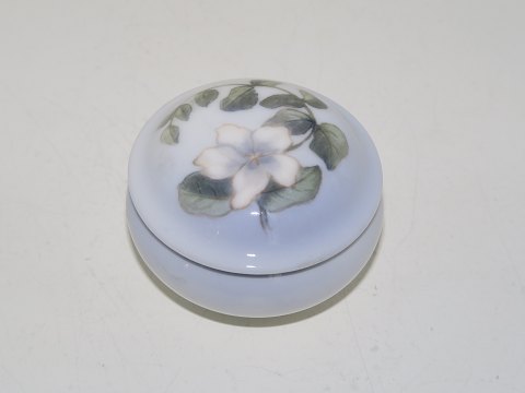 Royal Copenhagen
Small Art Nouveau lidded box