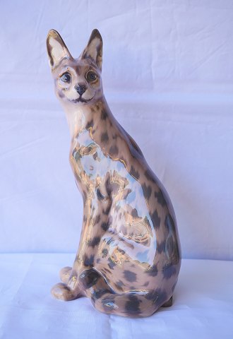 Dahl Jensen
1014
Serval