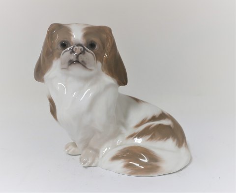 Royal Copenhagen. Figur. Pekingeser. Model 1453 -1772. Højde 12 cm. Produceret 
før 1923. (1 sortering)