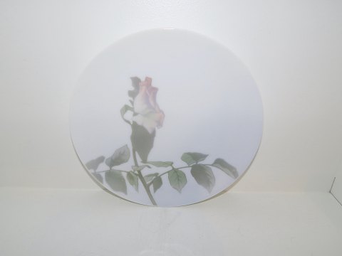 Royal Copenhagen 
Art Nouveau plate   from 1898-1923