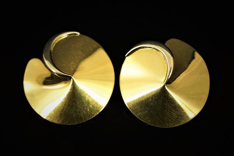 Earrings of 18k gold and white gold