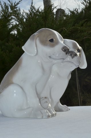 Royal Copenhagen figurine Pointer 260