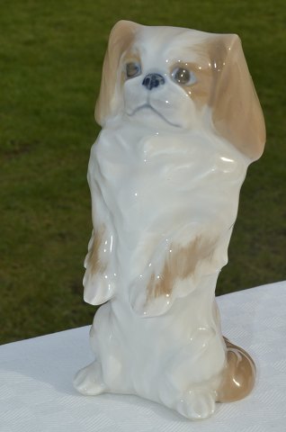 Kongelig figur Pekingeser 1776