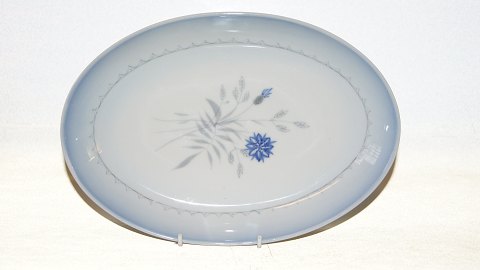 Bing & Grondahl Demeter (Cornflower),
Oval Fad