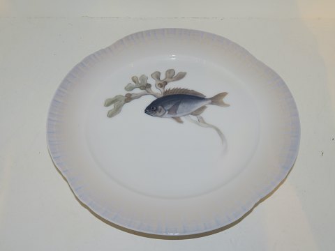 Royal Copenhagen
Fish plate 
Art Nouveau from 1923-1928