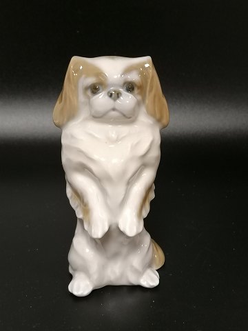 Royal Copenhagen porcelain figurine Pekingese No. 
1776