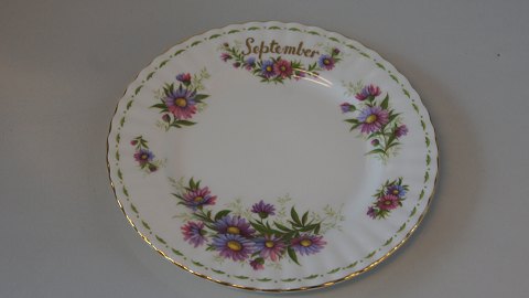 Frokosttallerken "Septemper" Royal Albert Månedstel 
Engelsk Stel
Blomstermotiv :Michaelmas Daisy