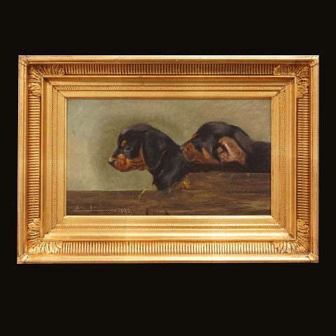 Simon Simonsen gravhunde. Simon Simonsen, 
1841-1928, olie på plade. Motiv i form af to 
gravhunde. Signeret og dateret 1893. Lysmål: 
19x32cm. Med ramme: 32x45cm