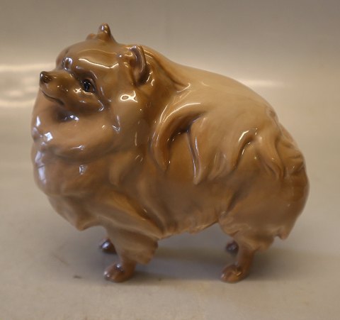 B&G Porcelain DOG B&G 2092 Pomeranian 11.5 x 12 cm
