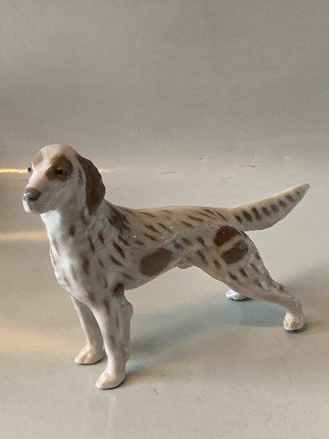 Royal Copenhagen hundefigur, Setter
Af fabriksmærket ses det, at denne er produceret i mellem 1928 og 1935.
Dekorationsnummer 3252.
1. sortering.