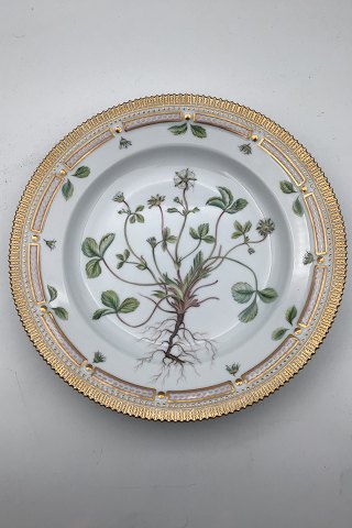 item no: 523995