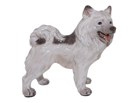 Dahl Jensen figurine
Greenland sled dog
