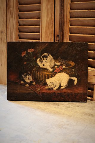 Oil painting on canvas of 4 small kittens playing in a flower pot. 
Signed J. Chamand 1930...