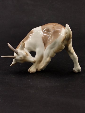 item no: 556181