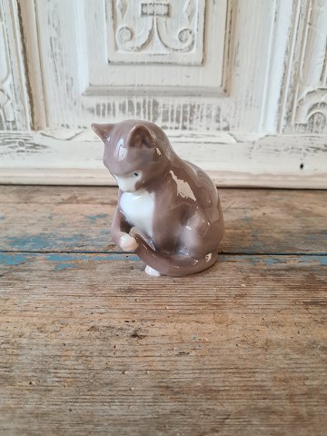 item no: 557526