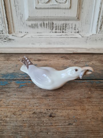 item no: 557527