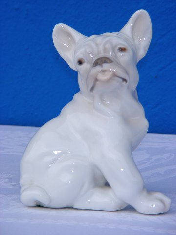 Bing & Grondahl  Figurine 1983 Bulldog puppy