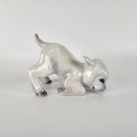 item no: 589570