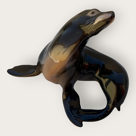 klik for zoom
