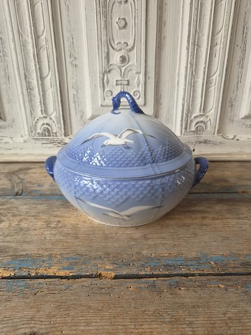 Porcelæn & Fajance