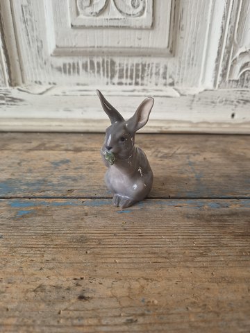 Porcelain and faience